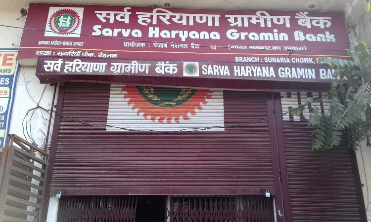 Sarva Haryana Gramin Bank FD Rates